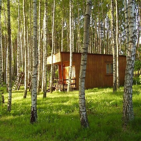Domek W Borkowie Borkowo (Kartuzy) Exterior foto
